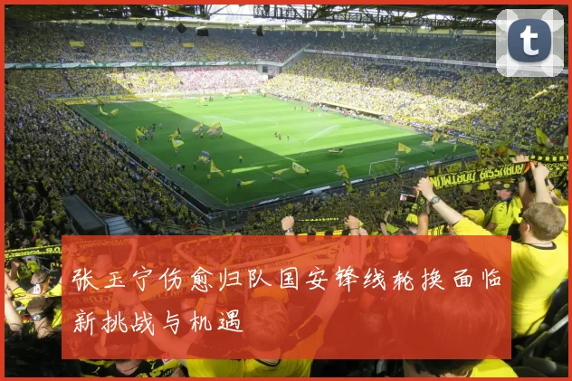 张玉宁伤愈归队国安锋线轮换面临新挑战与机遇